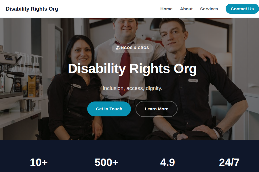 Disability Rights Org